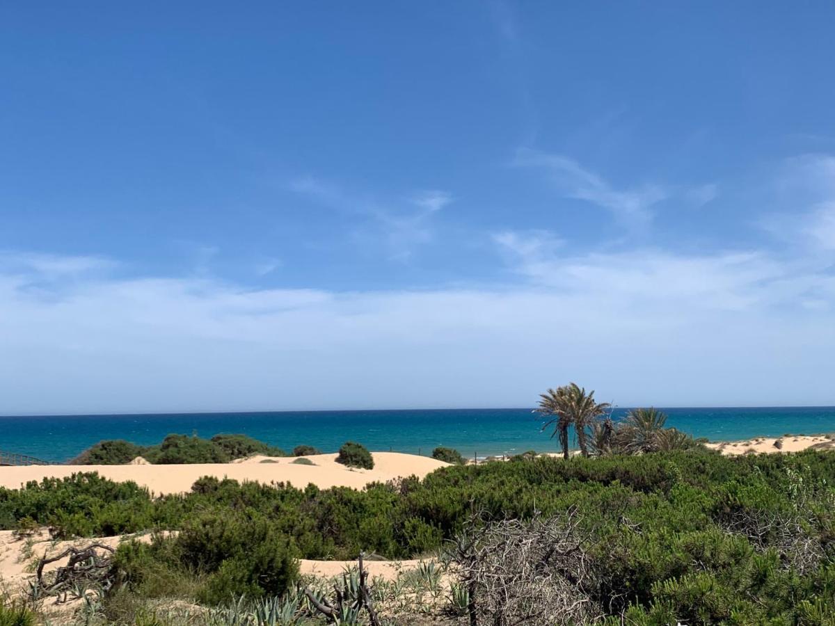 Guardamar Del Segura Sm- Spiaggia Moncayo - Piscina El Moncayo 外观 照片